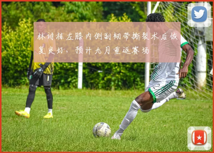 林诗栋左膝内侧副韧带撕裂术后恢复良好,预计九月重返赛场